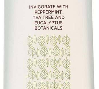 Trader Joes Tea Tree Tingle Shampoo with Peppermint, Tea Tree and Eucalyptus Botanicals (Pack of 2)