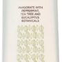 Trader Joes Tea Tree Tingle Shampoo with Peppermint, Tea Tree and Eucalyptus Botanicals (Pack of 2)