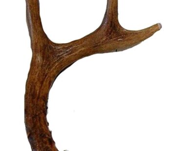 Small Whole Deer Antler Dog Chew, For Small to Medium Size Dogs and Puppies – 6 to 11 Inches Long – Big Dog Antler Chews Brand
