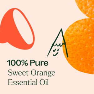 Plant Therapy Sweet Orange Essential Oil 100% Pure, Undiluted, Natural Aromatherapy, Therapeutic Grade 10 mL (1/3 oz) - Image 6