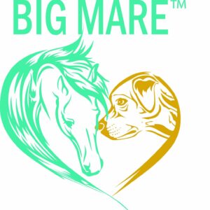 Big Mare Dog Medicated Shampoo & Body Wash | Soothing, Anti-Itch, Treats Canine Dermatitis, Hair Loss & More | Veterinary Approved & Recommended Non-S - Image 2