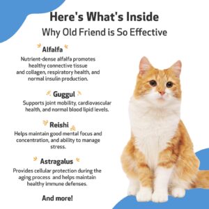 Pet Wellbeing Old Friend for Senior Cats - Vet-Formulated - Aging Immune System & Joint Mobility Support in Older Felines - Natural Herbal Supplement - Image 5