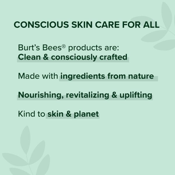Burt?s Bees 100% Natural Glossy Lipstick, Peony Dew - 1 Tube - Image 8