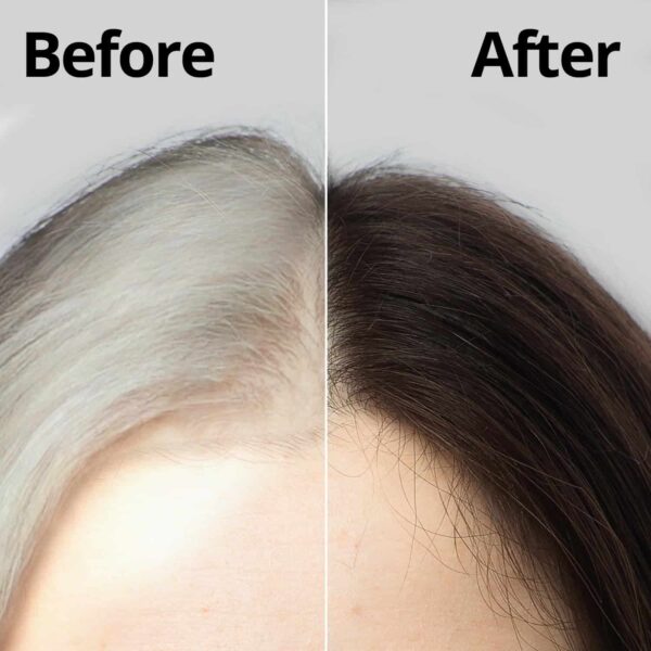 Daeng Gi Meo Ri ? Korean Herbal Hair Dye Color Cream [Dark Brown] - PPD-Free Gray Coverage, Hair Protection, High-Keratin Formula, 8.47 Oz - Image 2