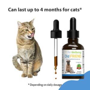 Pet Wellbeing Old Friend for Senior Cats - Vet-Formulated - Aging Immune System & Joint Mobility Support in Older Felines - Natural Herbal Supplement - Image 7