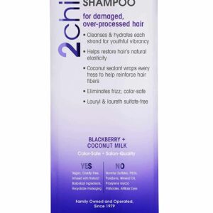 GIOVANNI 2chic Ultra-Repairing Shampoo - For Damaged, Over-Processed Hair, Helps Restore Hair's Natural Elasticity, Blackberry & Coconut Oil, Argan, S - Image 1