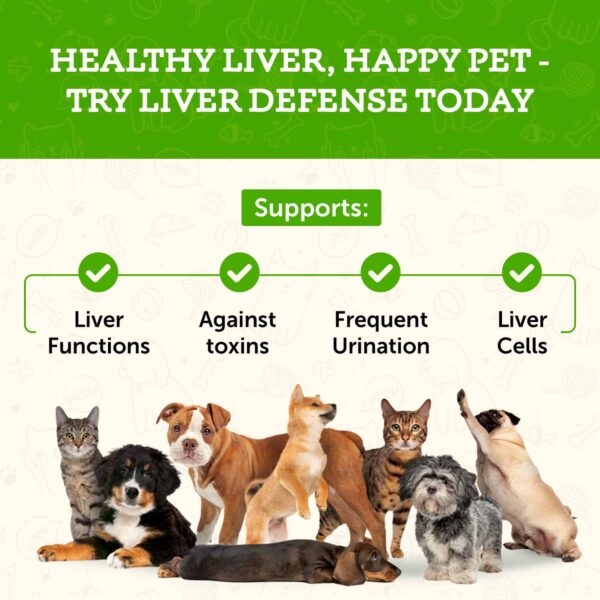 Animal Essentials Liver Defense Liver Support for Dogs & Cats, 2 fl oz - Made in USA, Dandelion & Milk Thistle - Image 5