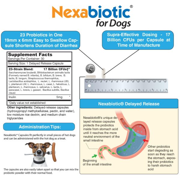 DrFormulas Probiotics for Dogs & Puppies Pets Diarrhea Treatment | Flavorless, Pre-dosed, 23 Premium Nexabiotic Probiotic for Pets with Saccharomyces - Image 6