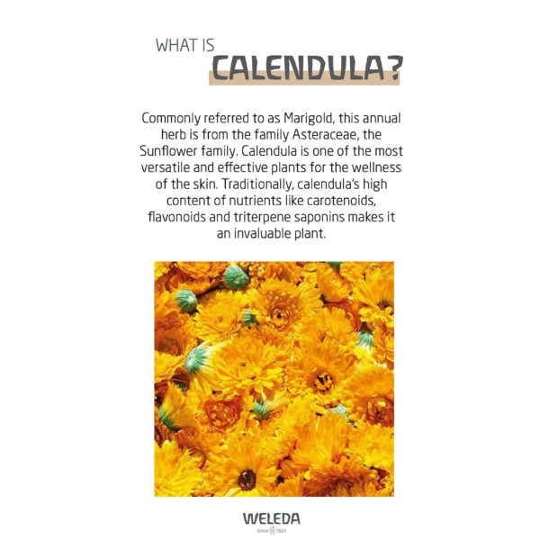 Weleda Baby Calendula Nourishing Face Cream, 1.7 Fluid Ounce, Plant Rich Moisturizer with Calendula and Lanolin - Image 4