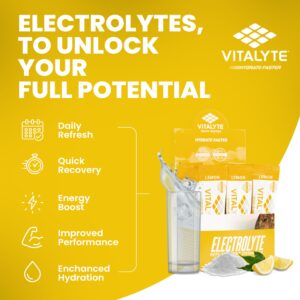 Vitalyte Electrolytes Packets Isotonic Sports Drink | Electrolytes Powder Packets Sports Nutrition Electrolyte Replacement Drinks Dehydration Relief Packets - Image 8