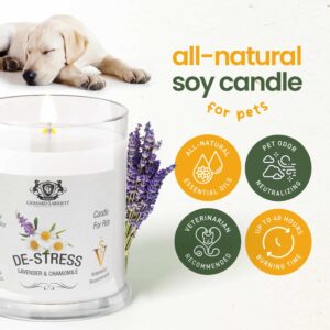 Lavender & Chamomile Aromatherapy Deodorizing Soy Candle For Pets, Pet Odor Eliminator & Animal Lover Gift - 6 OZ (170 g) - Image 2