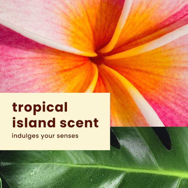 Hawaiian Tropic Everyday Active Clear Spray Sunscreen SPF 15, 6oz | Hawaiian Tropic Sunscreen SPF 15, Sunblock, Oxybenzone Free Sunscreen, Spray On Su - Image 8