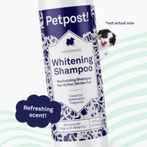 Petpost | Dog Whitening Shampoo - Best Lightening Treatment for Dogs with White Fur - Soothing Watermelon Scent - Maltese, Shih Tzu, Bichon Frise Appr - Image 4