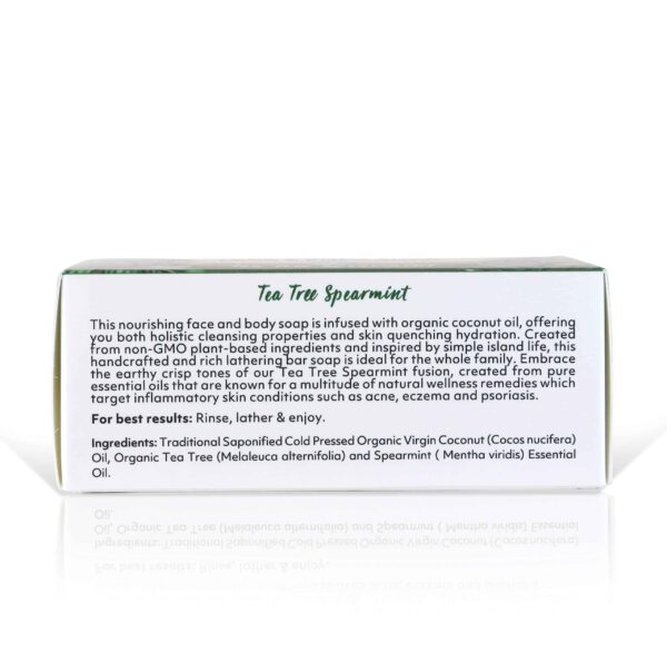 Coco Fiji Soap Bar for Face and Body Infused With Organic Coconut Oil, Tea Tree Spearmint, Essential Oil, Natural Soap for Moisturizing & Pore Purifyi - Image 2