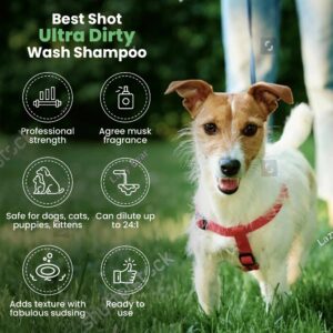 Best Shot Ultra Dirty Wash Shampoo, 16 oz - Image 4