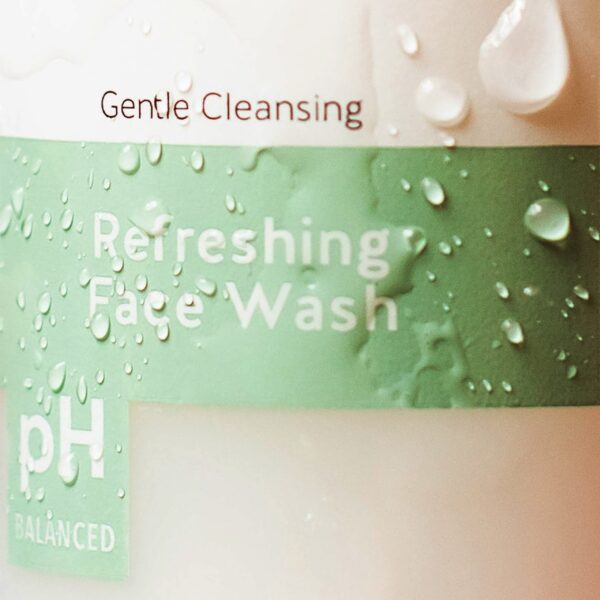 Alpha Skin Care Refreshing Face Wash | Anti-Aging Formula | Citric Alpha Hydroxy Acid (AHA) | Gently Cleanses, Purifies, Tones & Restores Ideal PH | F - Image 2