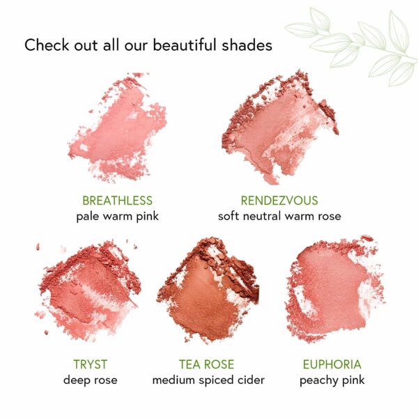Honeybee Gardens Complexion Perfecting Blush Collection, 8.5g Each (Rendezvous) - Image 6
