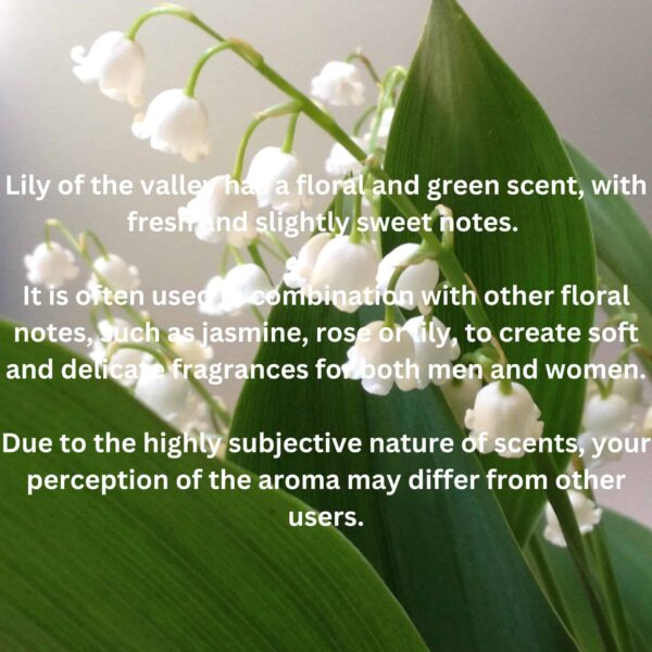Fragrances & More - Lily of The Valley Fragrance Oil 2 oz. (60ml) Candle Scent for Candle Making. Scented oil for Home Diffusers. Essential Oils for S - Image 2