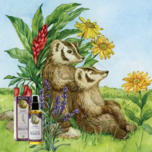 Badger - Aromatherapy Massage Oil, Lavender with Bergamot & Balsam Fir, Certified Organic with Essential Oils, 4 fl oz - Image 7