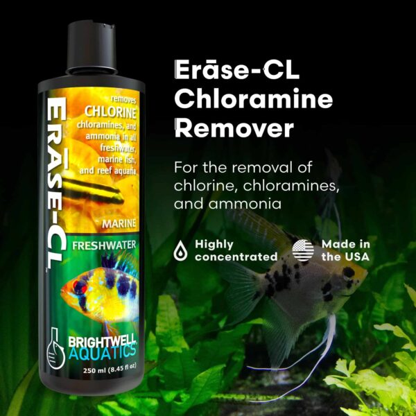 Brightwell Aquatics Erase-Cl - Chloramine, Chlorine and Ammonia Remover - Aquarium Water Conditioner for Salt and Freshwater Fish Tanks - Aquarium Wat - Image 2
