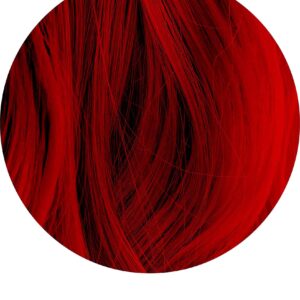 Splat | Luscious Raspberries | Original Complete Kit | Semi-Permanent Hair Dye | Vegan & Cruelty-Free - Image 2