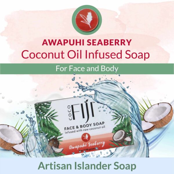 "Coco Fiji Soap Bar for Face and Body Infused With Organic Coconut Oil, Awapuhi Seaberry, Essential Oil, Natural Soap for Moisturizing & Pore Purifyin - Image 4