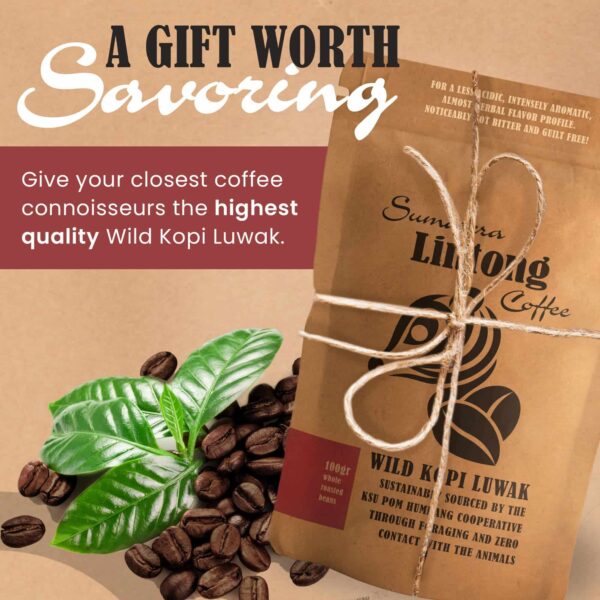 Wild Kopi Luwak, the World?s Most Exclusive Coffee, Sustainably Sourced From Sumatra, Indonesia (100gr / 3.5oz) - Image 6