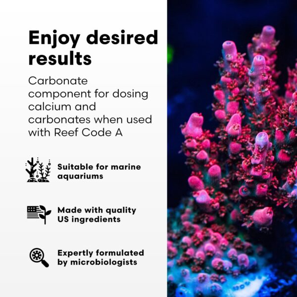 Brightwell Aquatics - Reef Code B - Balanced Calcium & Alkalinity System Water Conditioner - For All Saltwater Marine Fish & Reef Fish Tanks - Aquariu - Image 3