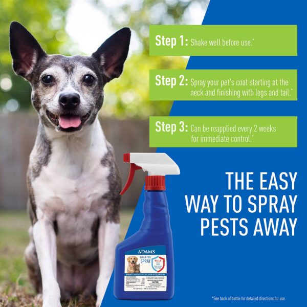 Adams Flea & Tick Spray For Dogs and Cats | Kills Fleas and Ticks Through Contact, Kills Flea Eggs, Flea Larvae, and Prevents Flea Egg Hatch | Control - Image 3