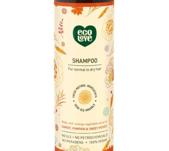 ecoLove – Natural Shampoo, Sodium lauryl sulfate Free, Vegan & Cruelty Free Shampoo, Natural Dry Shampoo for Women, Organic Carrot and Pumpkin Shampoo