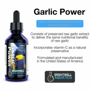 Brightwell Aquatics Garlic Power - Aquarium Food Enhancer 4 oz/125 ML - Image 2