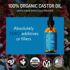 Eve Hansen Organic Castor Oil USDA Certified | Pure Carrier Oil for Eyelashes, Eyebrows, Hair, and Skin with Applicator (2oz) - Image 4