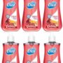 DIA02795 - Dial Pomegranate Antibacterial Hand Soap - 6 Pack
