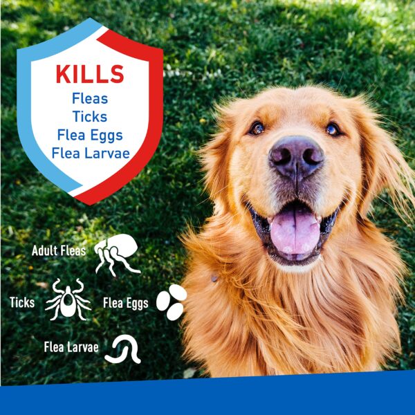 Adams Flea & Tick Spray For Dogs and Cats | Kills Fleas and Ticks Through Contact, Kills Flea Eggs, Flea Larvae, and Prevents Flea Egg Hatch | Control - Image 2