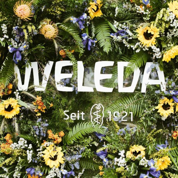 Weleda Refreshing Citrus Body Wash, 6.8 Fluid Ounce, Gentle Plant Rich Cleanser with Lemon Peel and Sesame Seed Oils - Image 7