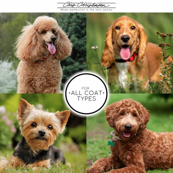 Chris Christensen Spectrum Ten Dog Shampoo, Groom Like a Professional, Gentle Cleansing, Gorgeous Shine, Made in USA, 473ml - Image 4