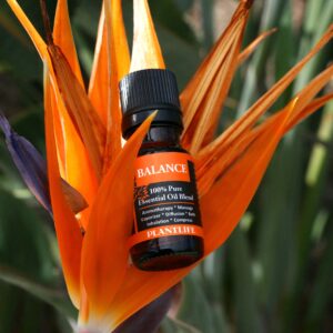 Plantlife Balance Aromatherapy Essential Oil Blend - Straight from The Plant 100% Pure Therapeutic Grade - No Additives or Fillers - Made in Californi - Image 6