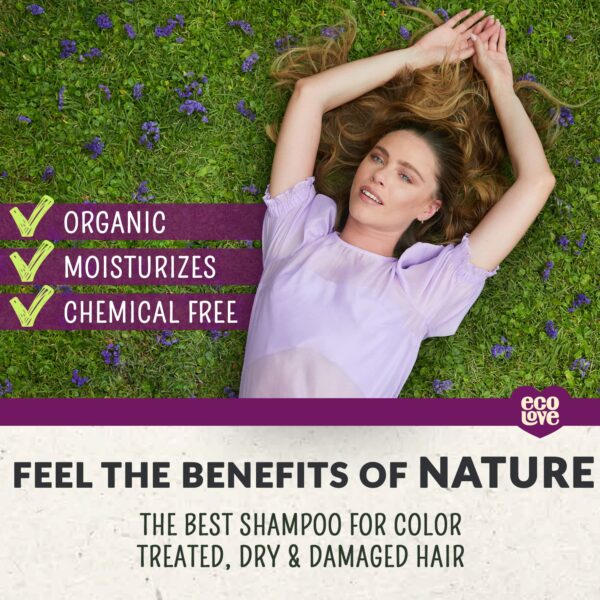 ecoLove - Natural Shampoo, Sodium lauryl sulfate Free, Vegan & Cruelty Free Shampoo for Color Treated Hair, Very Dry & Damaged Hair, Organic Lavender - Image 3