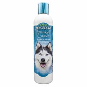 Bio-Groom Extra Body Texturizing Dog Shampoo ? Tearless Puppy Shampoo, Dog Bathing Supplies, Cruelty-Free, Cat & Dog Grooming Supplies, Made in USA, Tear-Free Dog Products ? 12 fl oz 1-Pack - Image 1