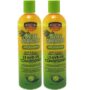 African Pride Olive Miracle Conditioner Leave-In 12 Ounce (354ml) (2 Pack)
