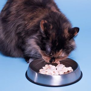 Dr. Catsby's Food Bowl for Whisker Relief - Image 8