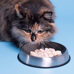 Dr. Catsby's Food Bowl for Whisker Relief - Image 6