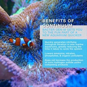 Continuum Aquatics Bacter Gen M - Microbial Bacteria Culture For Establishing & Maintaining Marine Systems - Image 4