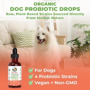 MaryRuth Organics Dog Probiotic, USDA Organic Probiotic for Dogs, Dog Probiotic for Digestive Support, Supplement for Gut Health & Beneficial Bacteria, Vegan, Non-GMO, Gluten Free, 4 Fl Oz - Image 5