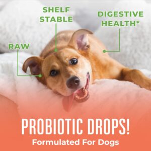 MaryRuth Organics Dog Probiotic, USDA Organic Probiotic for Dogs, Dog Probiotic for Digestive Support, Supplement for Gut Health & Beneficial Bacteria, Vegan, Non-GMO, Gluten Free, 4 Fl Oz - Image 2