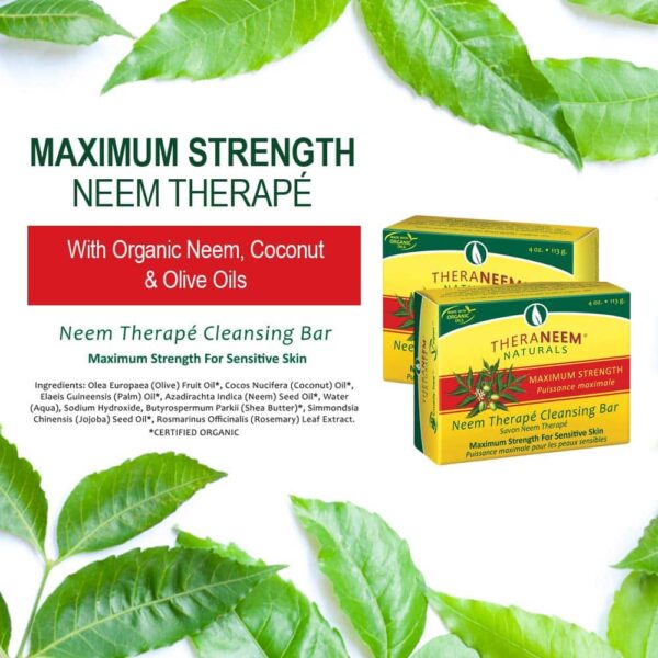 TheraNeem Neem Therape Cleansing Bar, Maximum Strength | Neem Oil Soap for Sensitive Skin | Soothes & Hydrates | 4oz - Image 2