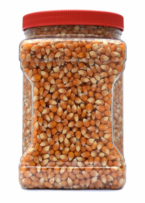 Snappy Yellow Mushroom Popcorn Kernels, 4lb Resealable Jar - Image 4
