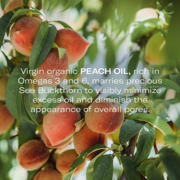 Odacit? Acne Serum Concentrate for Face, Pore Cleanser Facial Oil for Combination Skin with Peach & Cypress - Purifying Anti-Aging Facial Serum for Balanced-Looking Complexion - 0.17 fl. oz - Image 3