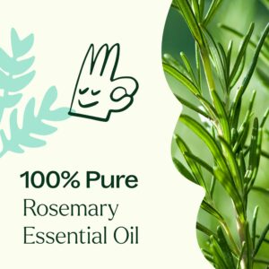 Plant Therapy Rosemary Essential Oil for Hair Growth, 100% Pure, Undiluted, Natural Aromatherapy for Diffuser & Rosemary Oil for Hair & Scalp, Therapeutic Grade 10 mL (1/3 oz) - Image 6