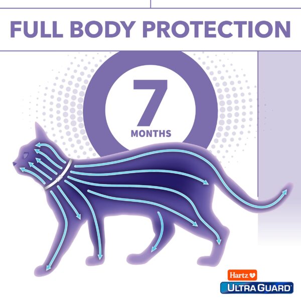 Hartz UltraGuard Plus Water Resistant 7 Month Protection Breakaway Flea & Tick Collar for Cats (3270094268) - Image 6